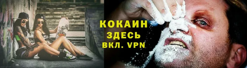 COCAIN Fish Scale  как найти закладки  Краснокамск 